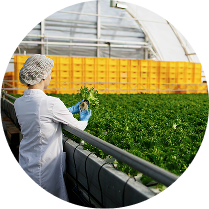 Agriculture